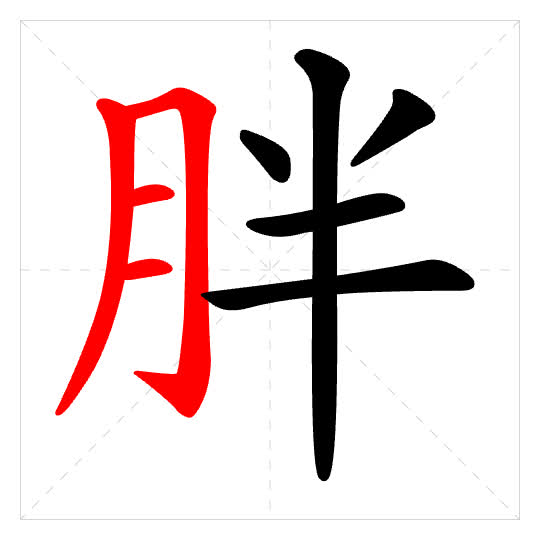 Stroke order for 胖