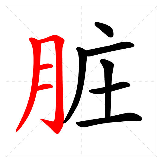 Stroke order for 脏