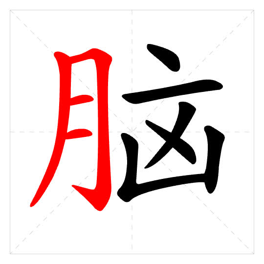Stroke order for 脑