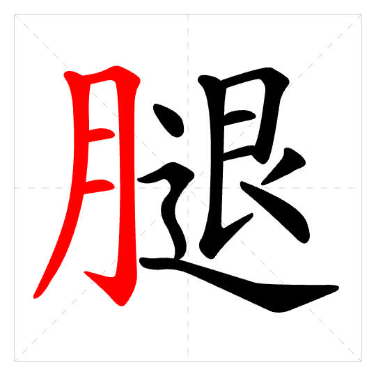 Stroke order for 腿